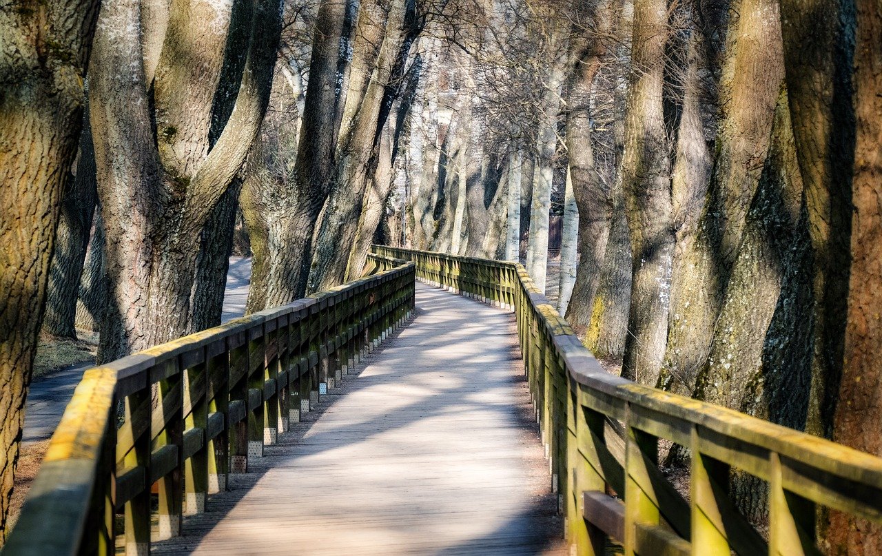 Steg Brücke Fürth