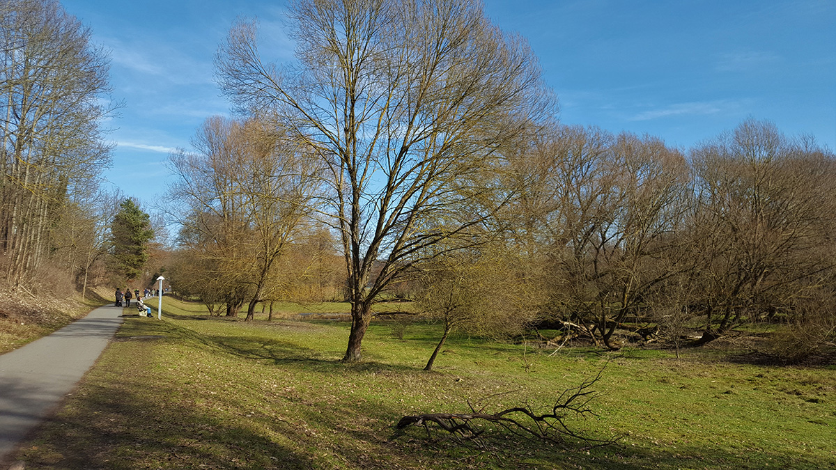 Pegnitzwiesen bei Erlenstegen