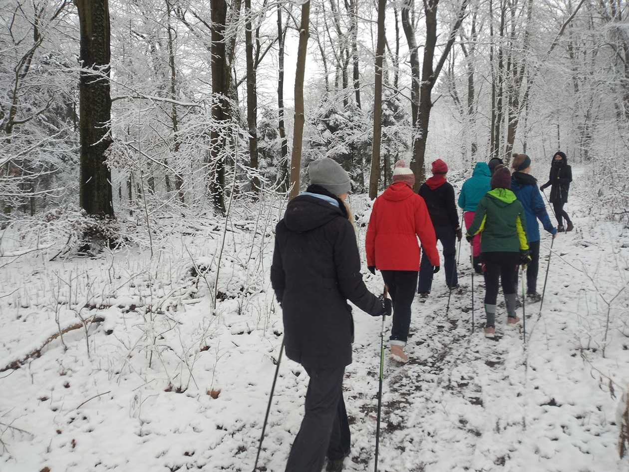 Walking Group