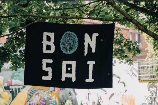Bonsai Festival